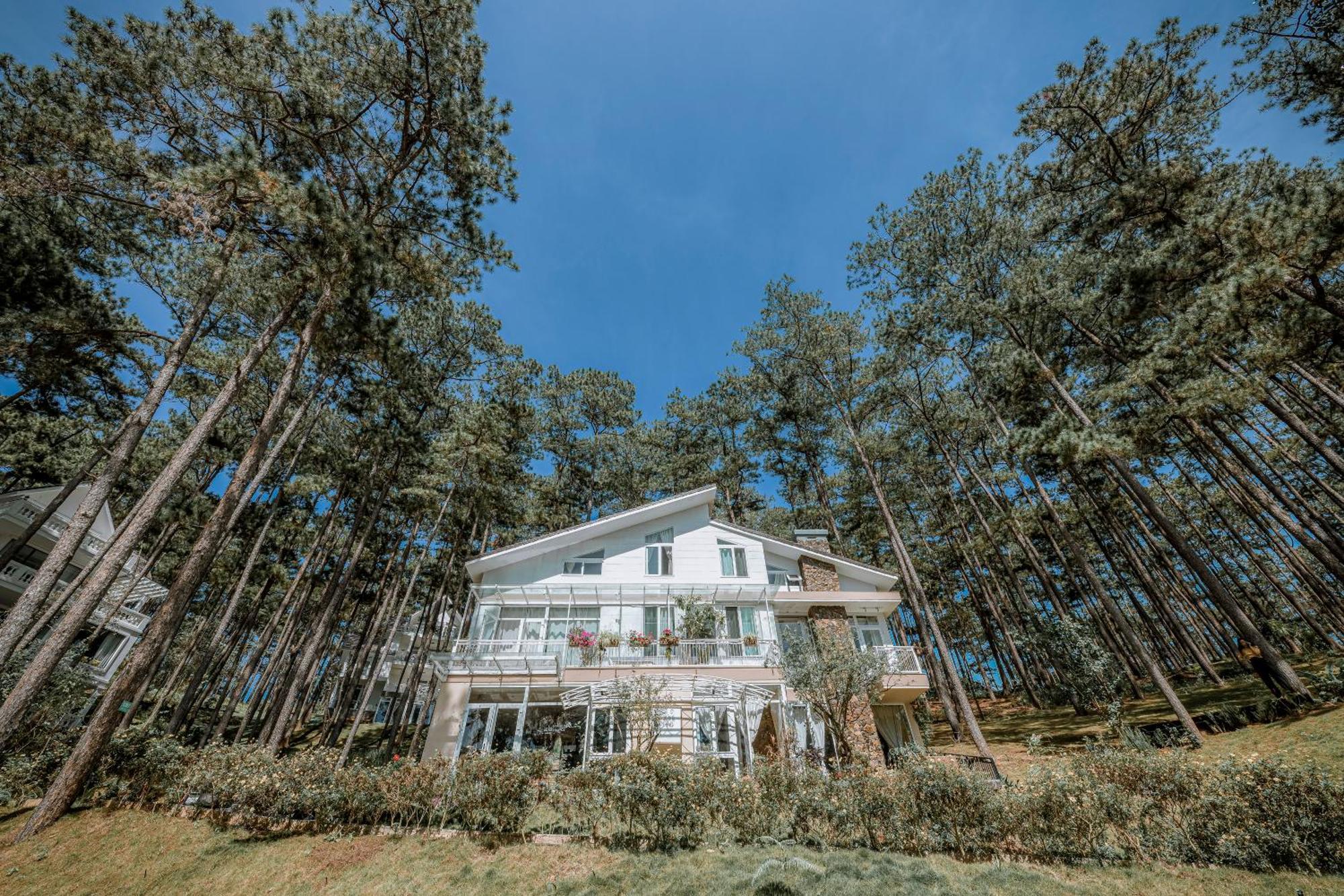Dahlia Dalat Aparthotel ภายนอก รูปภาพ